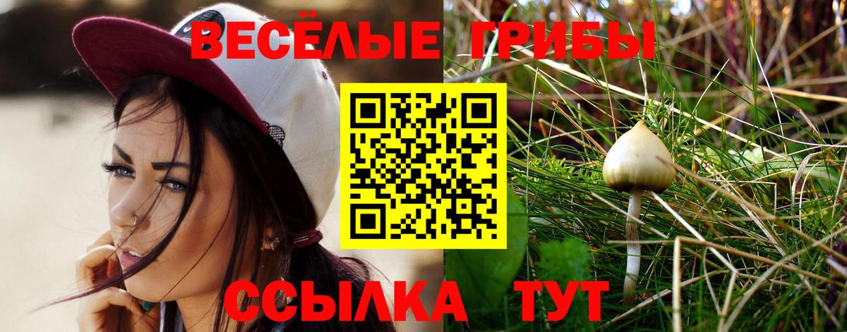 Псилоцибиновые грибы мухоморы Джанкой