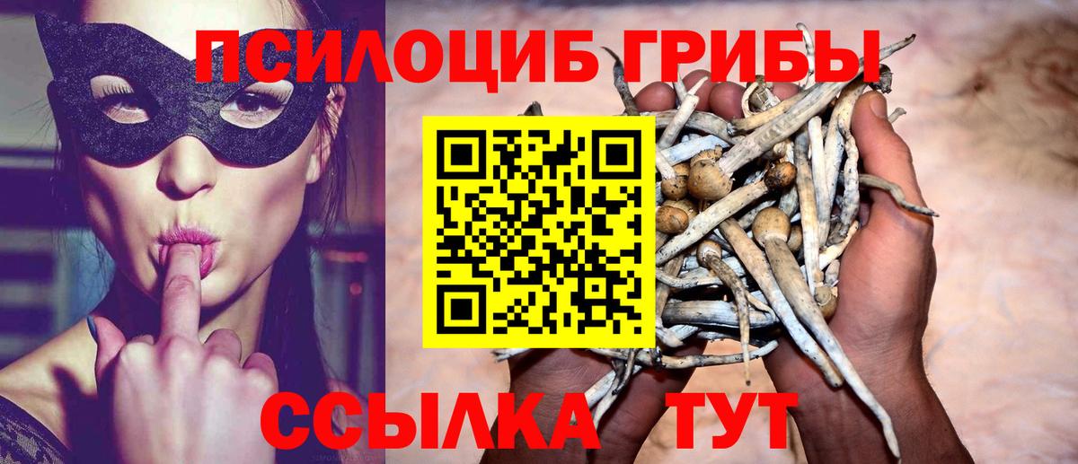 Псилоцибиновые грибы мухоморы  Вход с VPN  Джанкой 